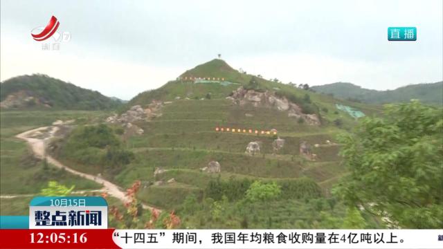 整点新闻20251015 12:00