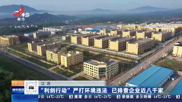 都市现场20251031