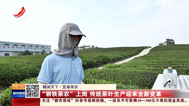 【赣闻天下】宜春高安：“钢铁茶农”上岗 传统茶叶生产迎来全新变革