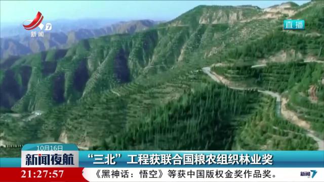 “三北”工程获联合国粮农组织林业奖