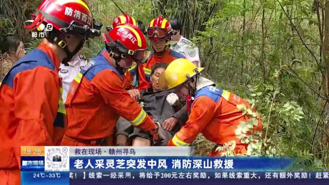 【救在现场】赣州寻乌：老人采灵芝突发中风 消防深山救援