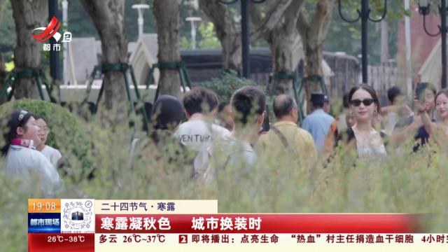 【二十四节气·寒露】寒露凝秋色 城市换装时