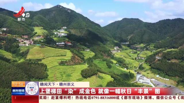 【赣闻天下】赣州崇义：上堡梯田“染”成金色 就像一幅秋日“丰景”图