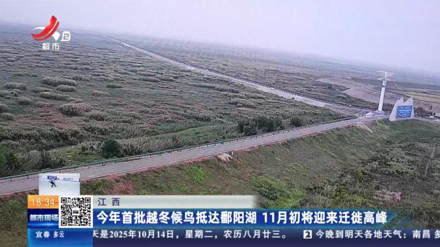 江西：今年首批越冬候鸟抵达鄱阳湖 11月初将迎来迁徙高峰