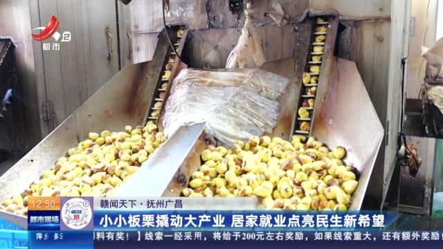 【赣闻天下】抚州广昌：小小板栗撬动大产业 居家就业点亮民生新希望