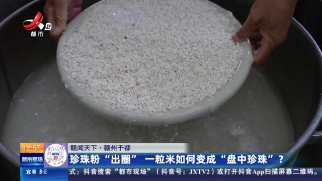 【赣闻天下】赣州于都：珍珠粉“出圈” 一粒米如何变成“盘中珍珠”？