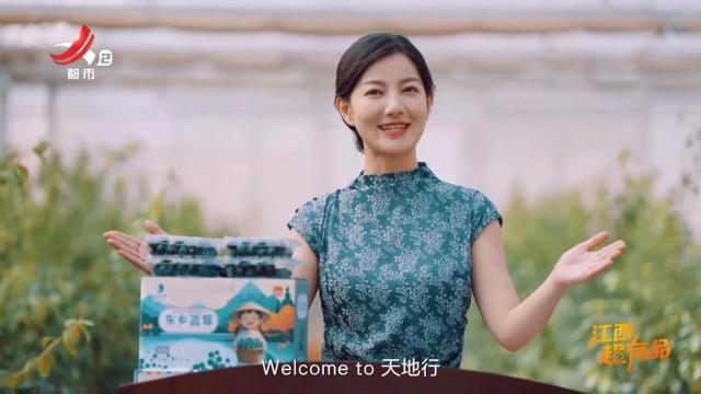 【江西超有品·江西东乡蓝莓】让世界看见江西品牌