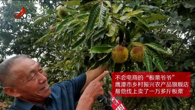帮爷爷卖板栗 帮大姐卖土鸡 这家乡村振兴馆“土”味足
