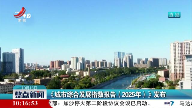 《城市综合发展指数报告（2025年）》发布