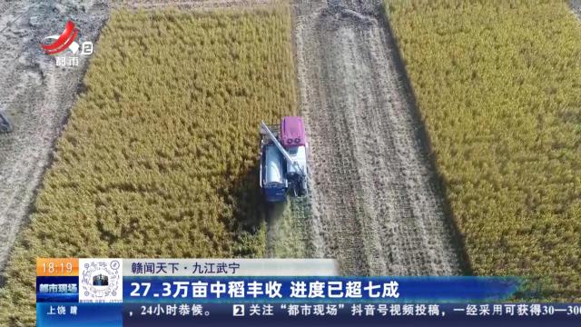 【赣闻天下】九江武宁：27.3万亩中稻丰收 进度已超七成