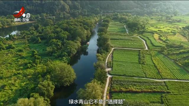 【牢记殷殷嘱托 共建美好乡村】婺源石门村：酒香飘世界 鸟鸣伴振兴