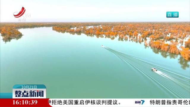 新彊尉犁：乘舟看画 观赏胡杨