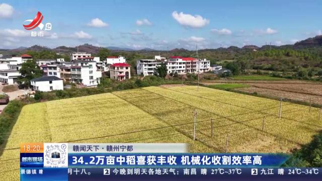【赣闻天下】赣州宁都：34.2万亩中稻喜获丰收 机械化收割效率高
