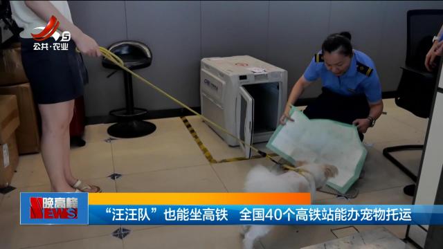 “汪汪队”也能坐高铁 全国40个高铁站能办宠物托运