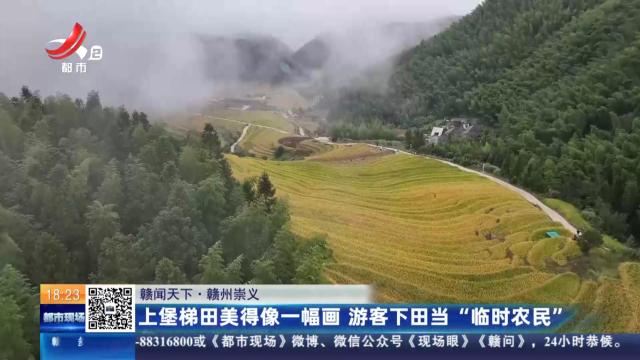 【赣闻天下】赣州崇义：上堡梯田美得像一幅画 游客下田当“临时农民”