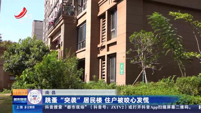 都市现场·午间版20251025