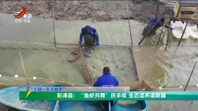 三农头条20251015