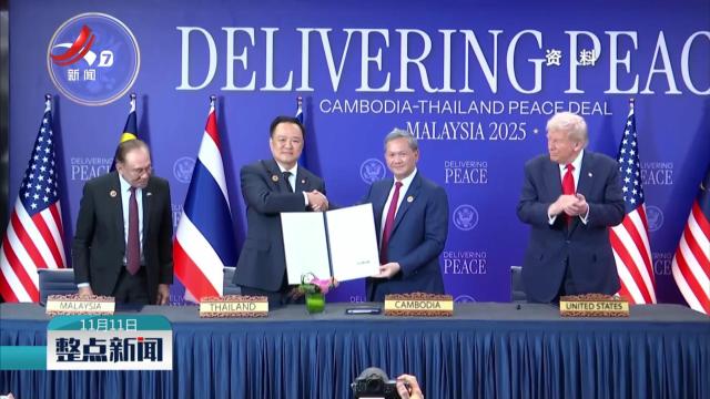 整点新闻20251111 12:00