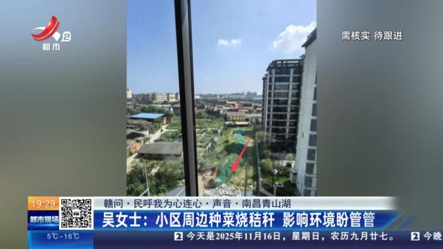 【赣问·民呼我为心连心·声音·南昌青山湖】吴女士：小区周边种菜烧秸秆 影响环境盼管管