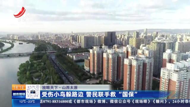 【放眼天下】山西太原：受伤小鸟躲路边 警民联手救“国保”