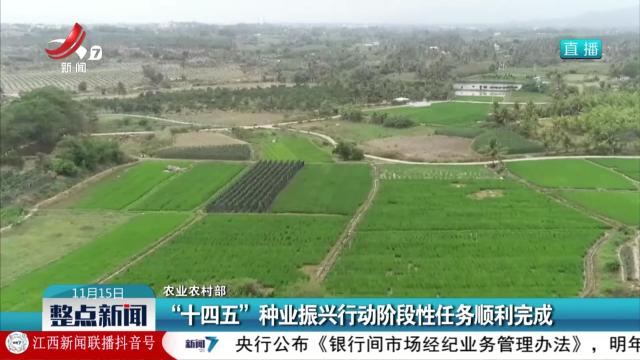 整点新闻20251115 12：00