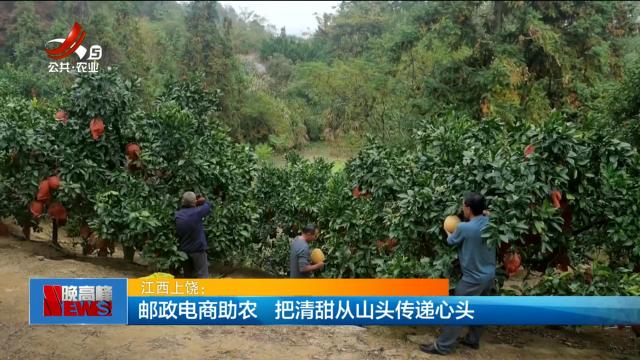 江西上饶：邮政电商助农 把清甜从山头传递心头