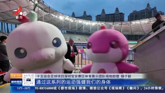 【放眼天下】广东深圳：“大湾鸡”火出圈 揭秘全运会吉祥物背后的“显眼包”