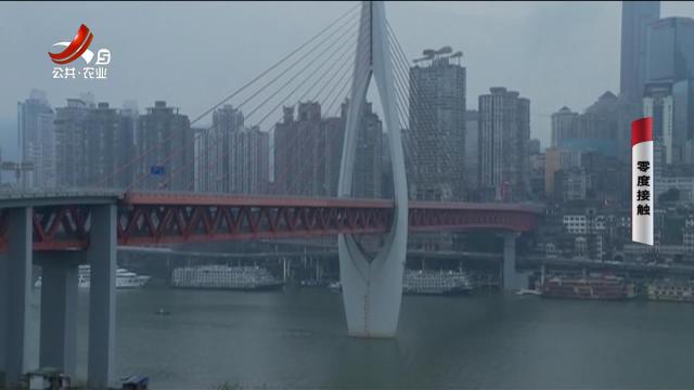 乡村栏目剧场20251109 零度接触