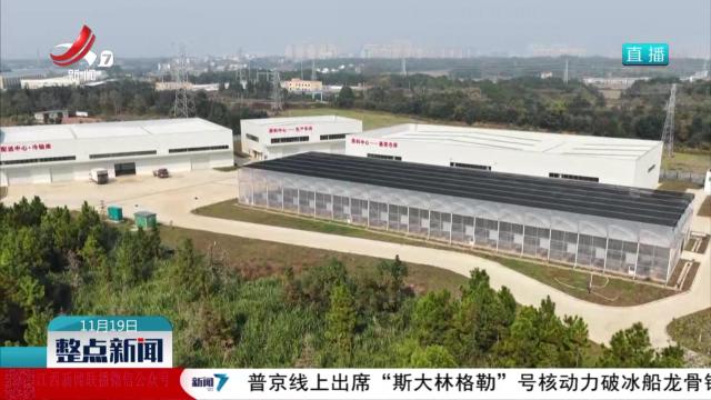 整点新闻20251119 10:00