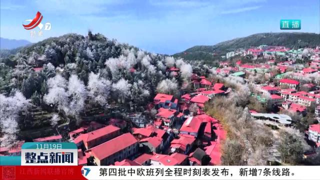 庐山出现今年入冬首场雾凇