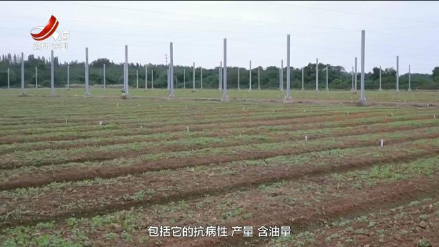 三农头条20251104