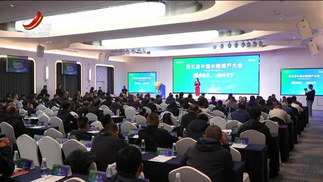 三农头条20251118