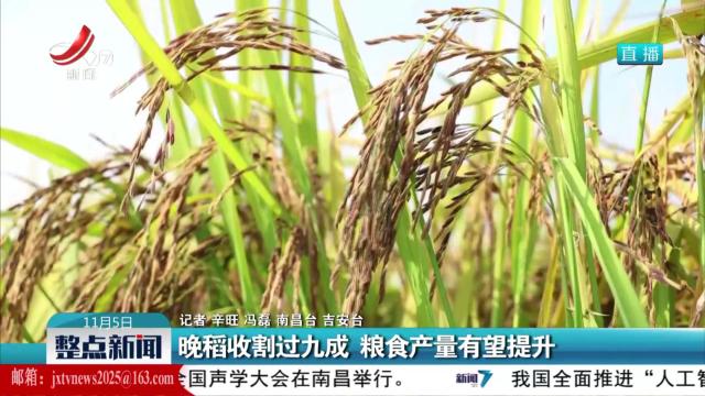 晚稻收割过九成 粮食产量有望提升