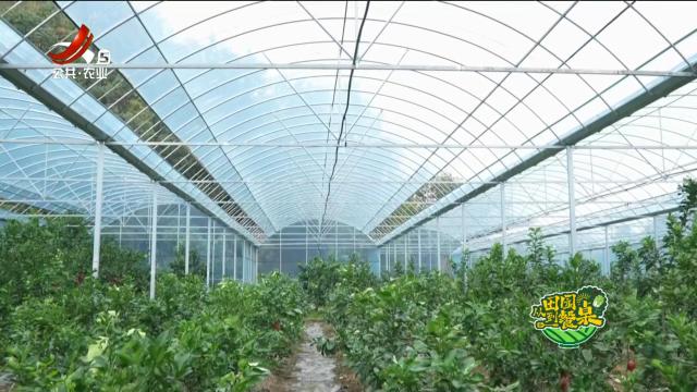 从田园到餐桌20251122