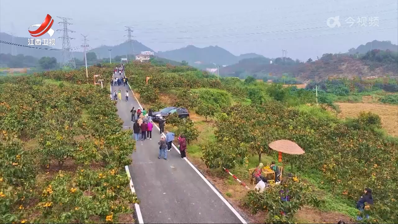 【辉煌“十四五” “赣”出新精彩】农民收入增三成 乡风文明上台阶