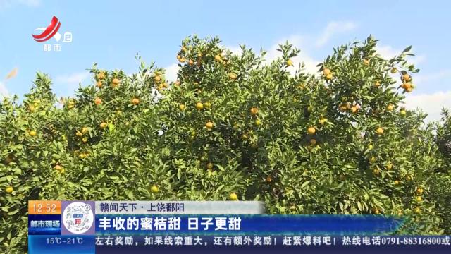 【赣闻天下】上饶鄱阳：丰收的蜜桔甜 日子更甜
