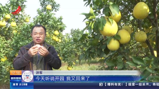 【赣闻天下】上饶鄱阳：生态柚子园开园 游客直呼“太甜了”