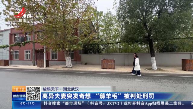 【放眼天下】湖北武汉：离异夫妻突发奇想 “薅羊毛”被判处刑罚