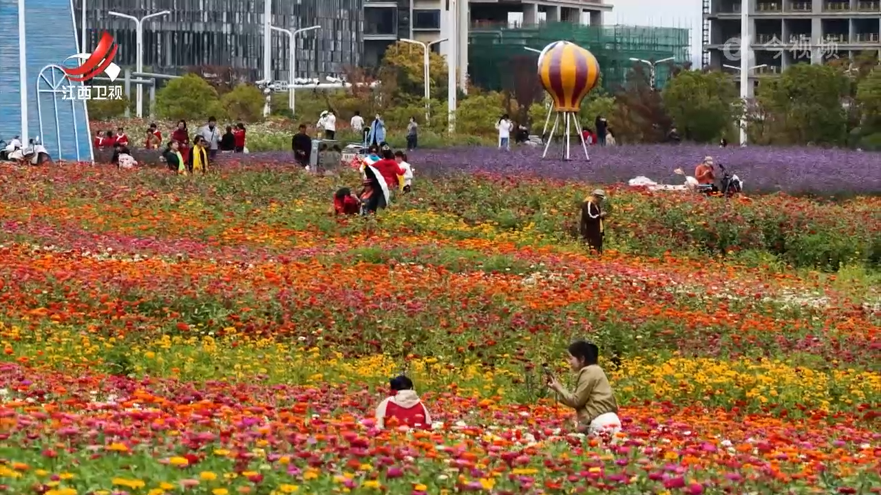 【我的城 我的家】公园“百花齐放” 拥抱自然之美