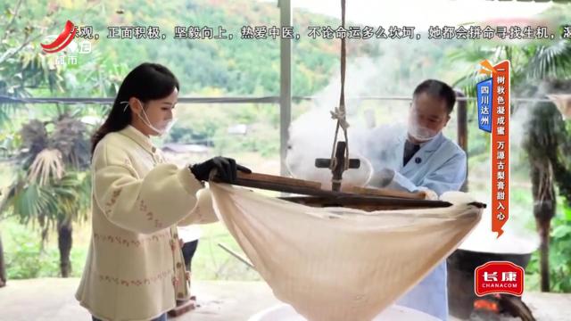 四川达州——一树秋色凝成蜜 万源古梨膏甜入心