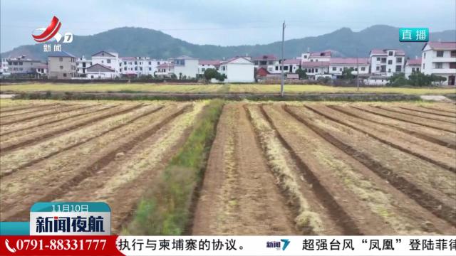 农机显身手 播种加速度