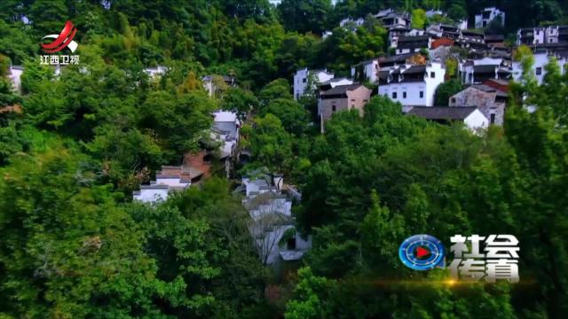 社会传真20251110 乡村产业“兴” 宜居又宜业