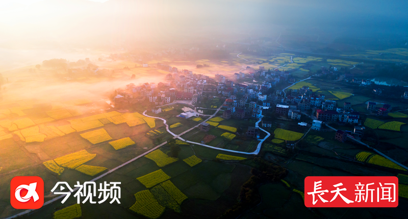 “十五五”：让“碳达峰”承诺兑现成你的呼吸自由