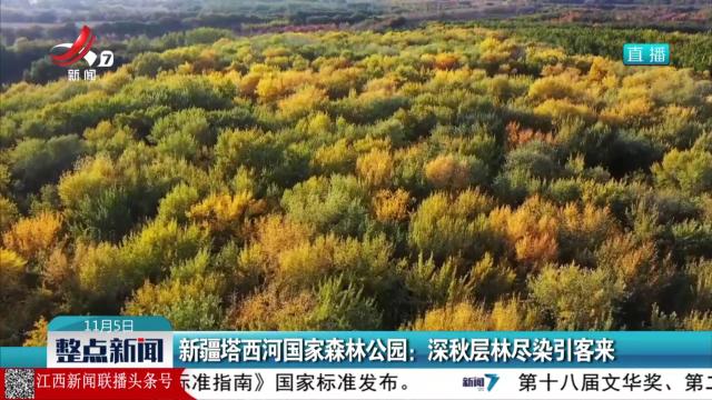 新疆塔西河国家森林公园：深秋层林尽染引客来