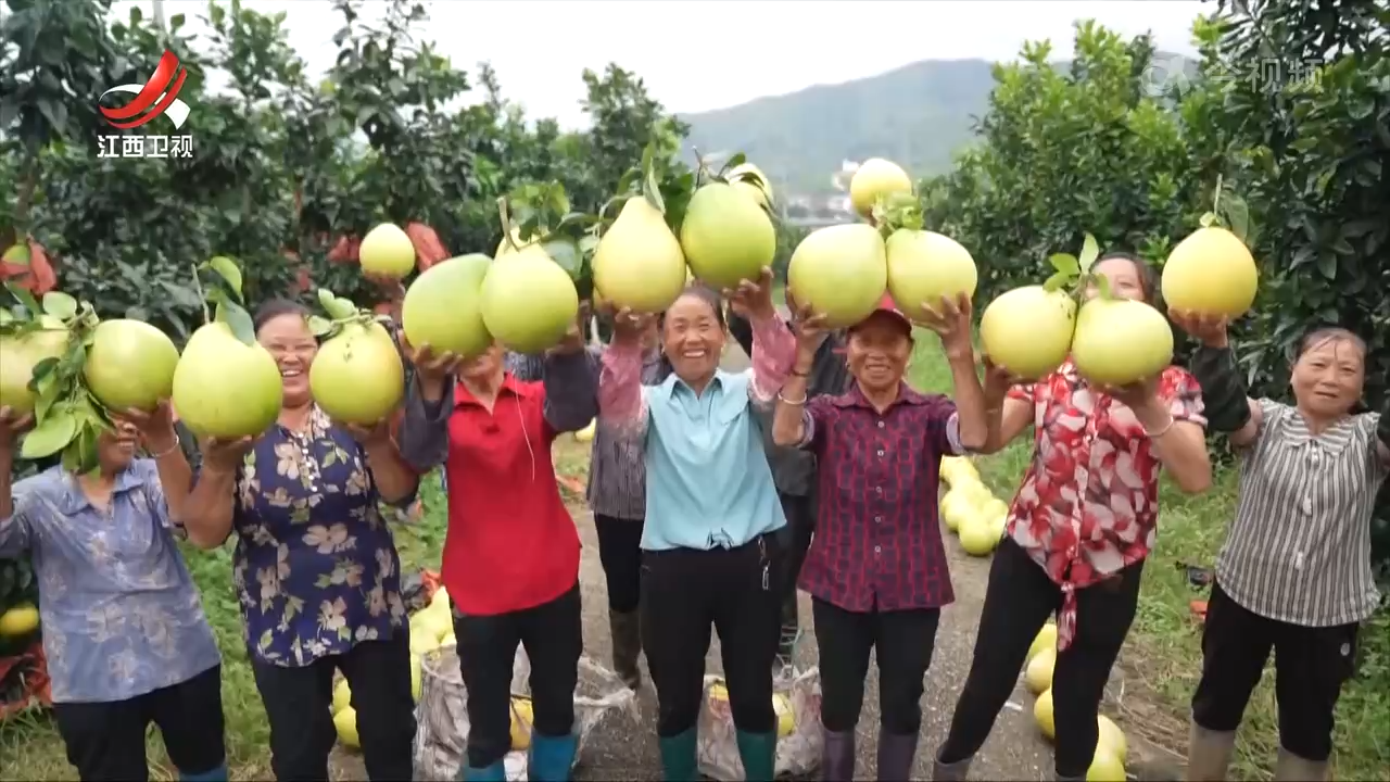 江西：强支撑 优机制 联农带农促振兴