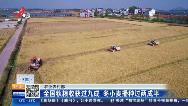 农业农村部：全国秋粮收获过九成 冬小麦播种过两成半