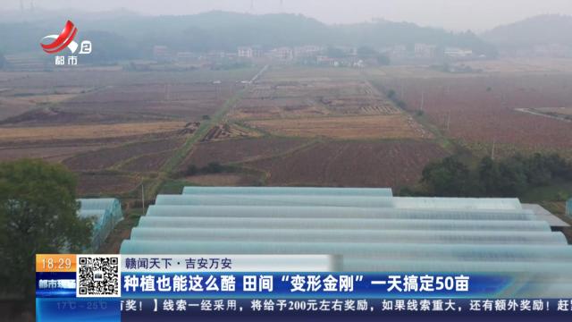 【赣闻天下】吉安万安：种植也能这么酷 田间“变形金刚”一天搞定50亩