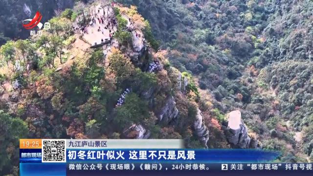 九江庐山景区：初冬红叶似火 这里不只是风景