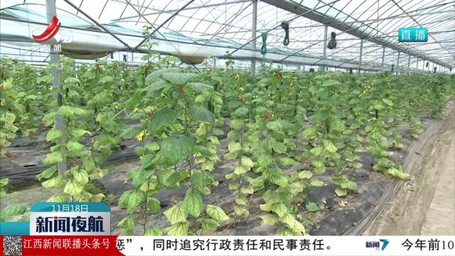 新闻夜航20251118