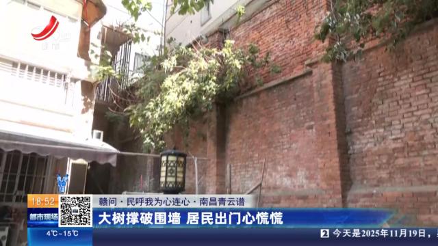 【赣问·民呼我为心连心】南昌青云谱：大树撑破围墙 居民出门心慌慌